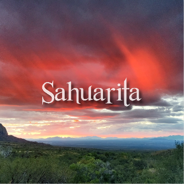 Town of Sahuarita: Guiding Decisions with Community Insight