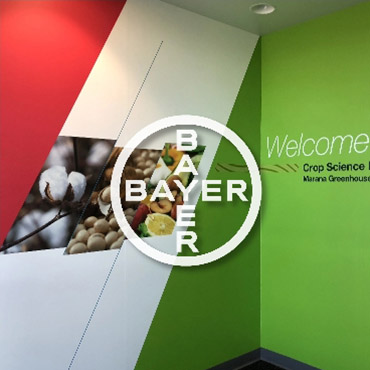 Bayer Marana: Global Giant Goes Local